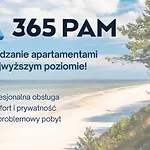 365pam - Gold *