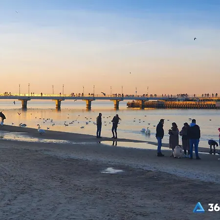 365pam - Gold Kołobrzeg