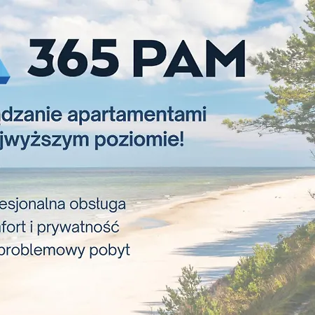 365pam - Gold *