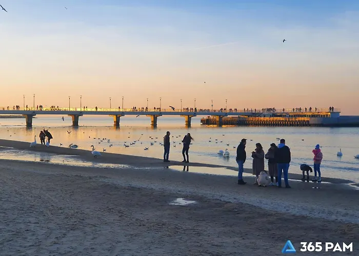 365pam - Gold Kołobrzeg